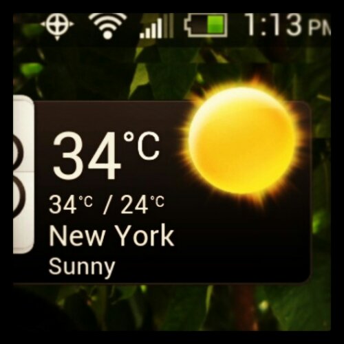 IMG_20130911_131511.jpg image