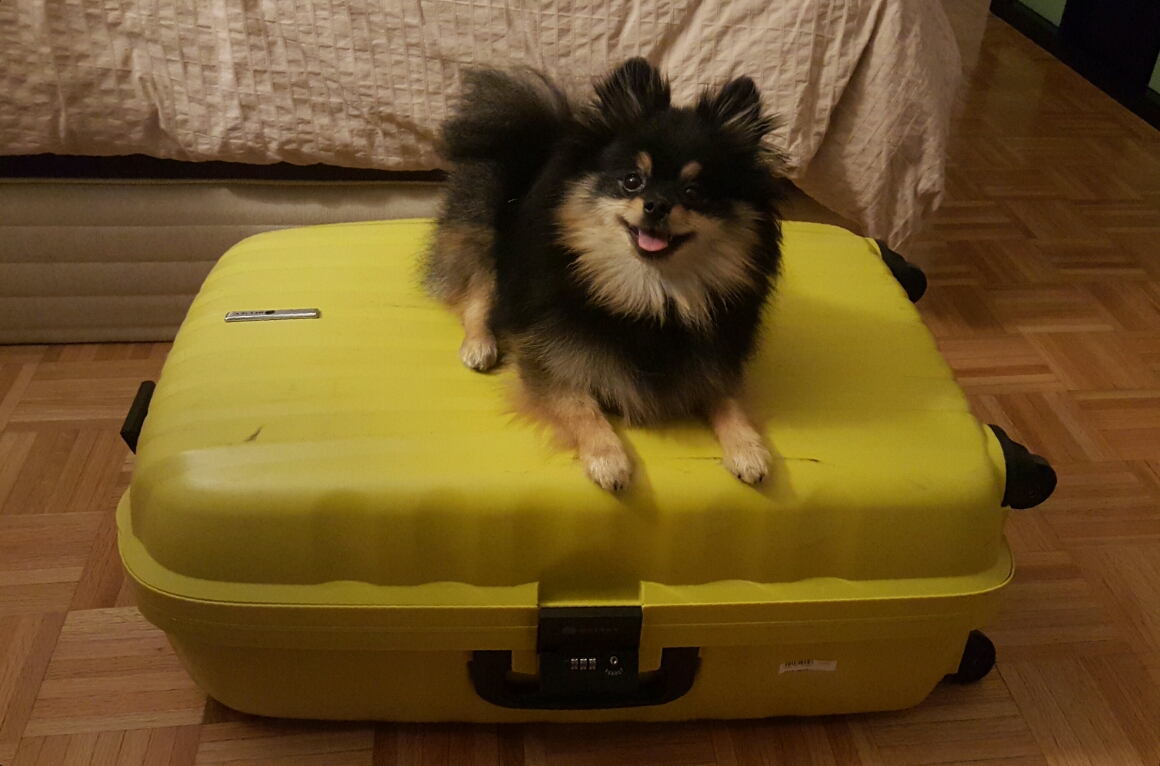 2015-08-23 20.36.54.jpg image