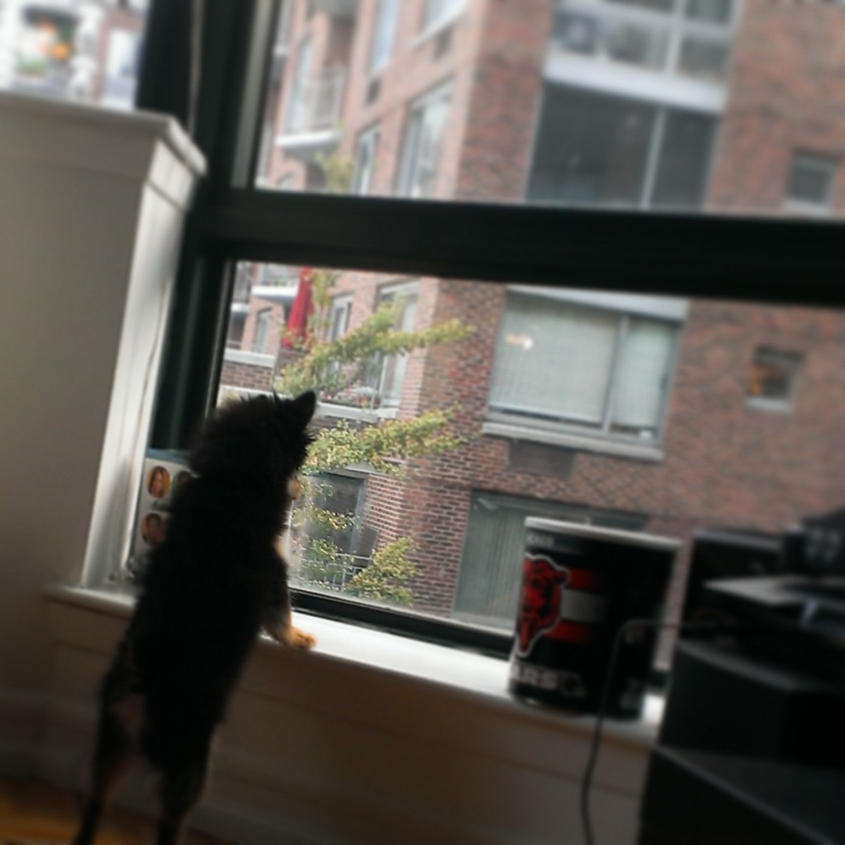 IMG_20140919_075550_2