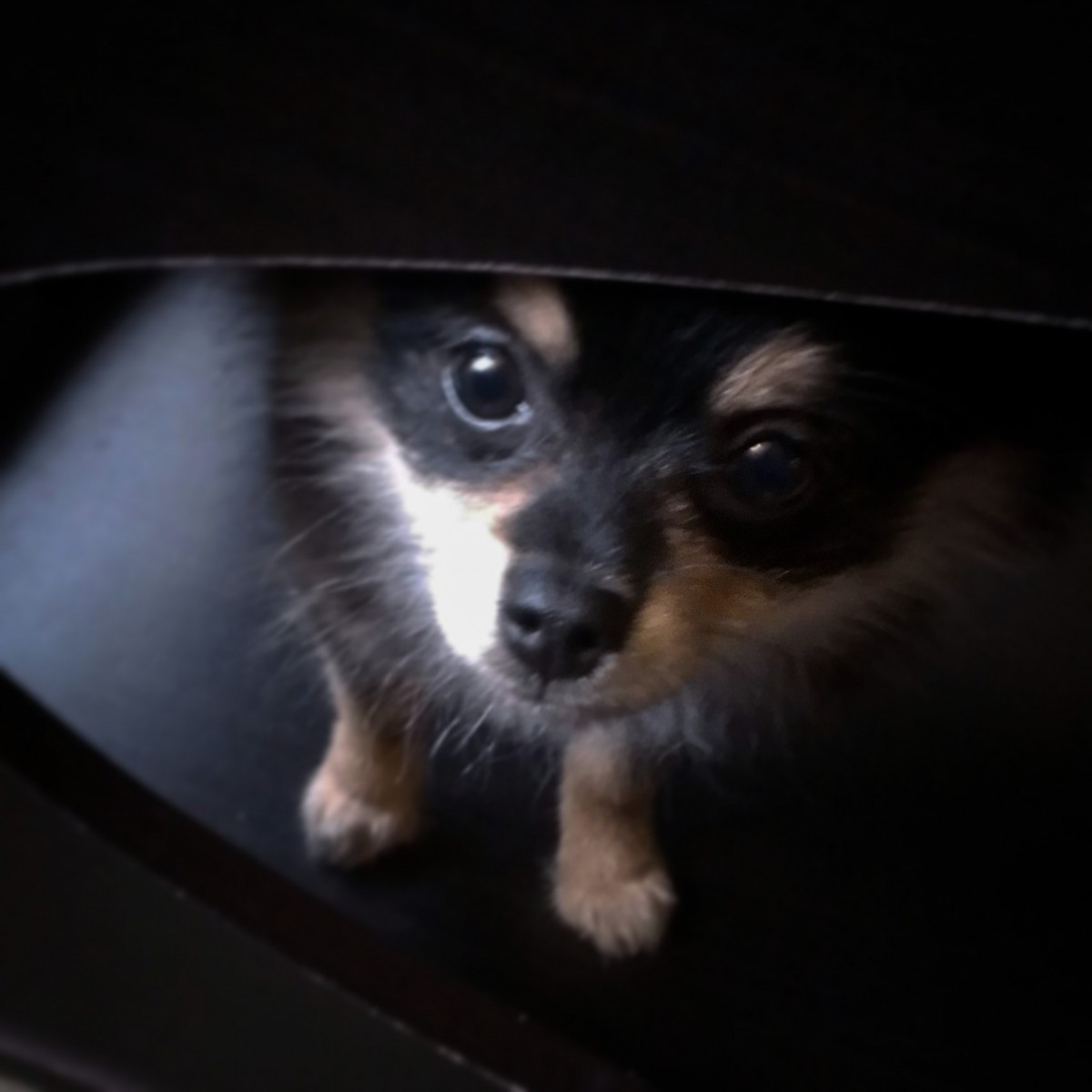 IMG_20140925_081312_2