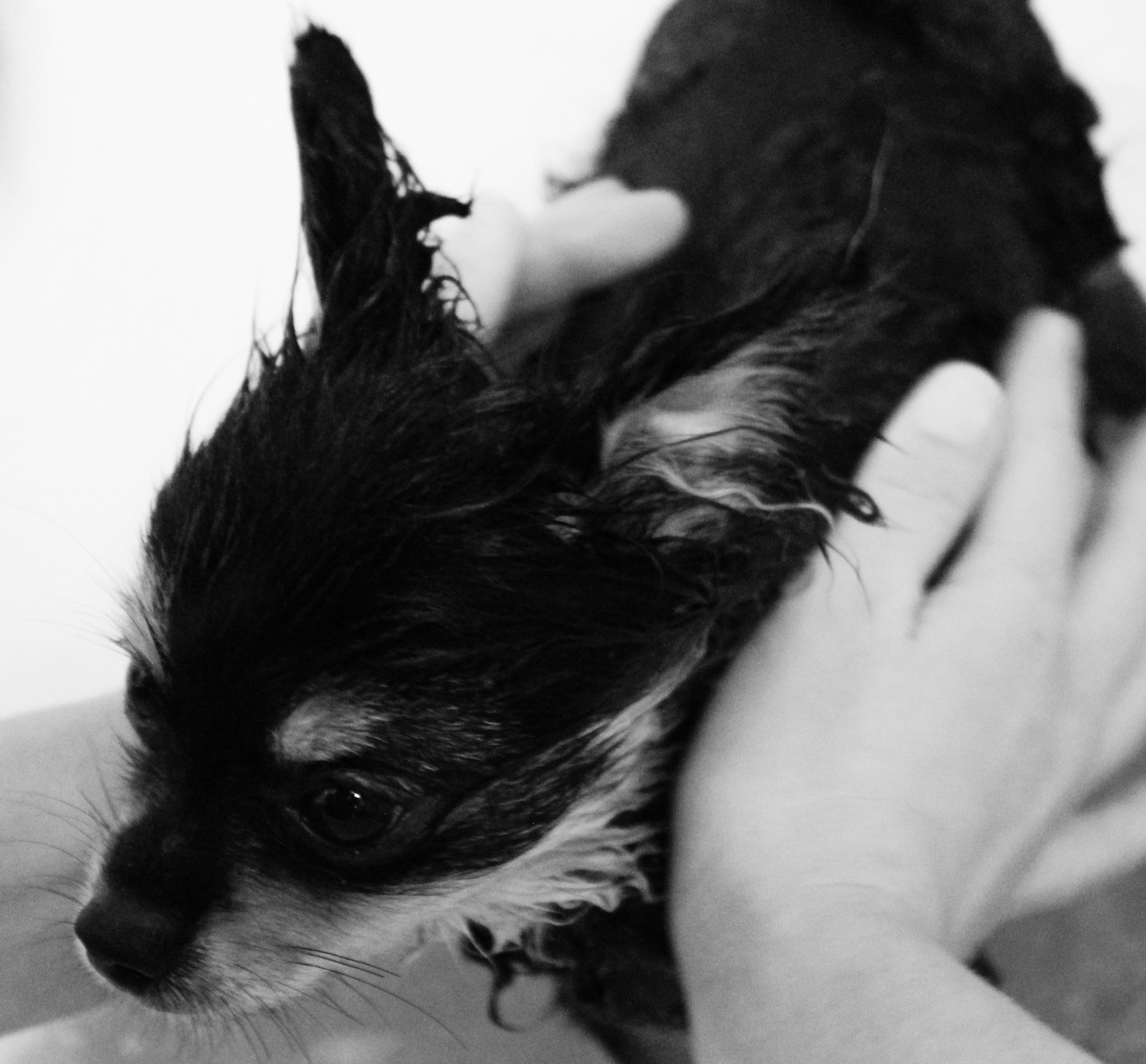 Thor_bath_b&w