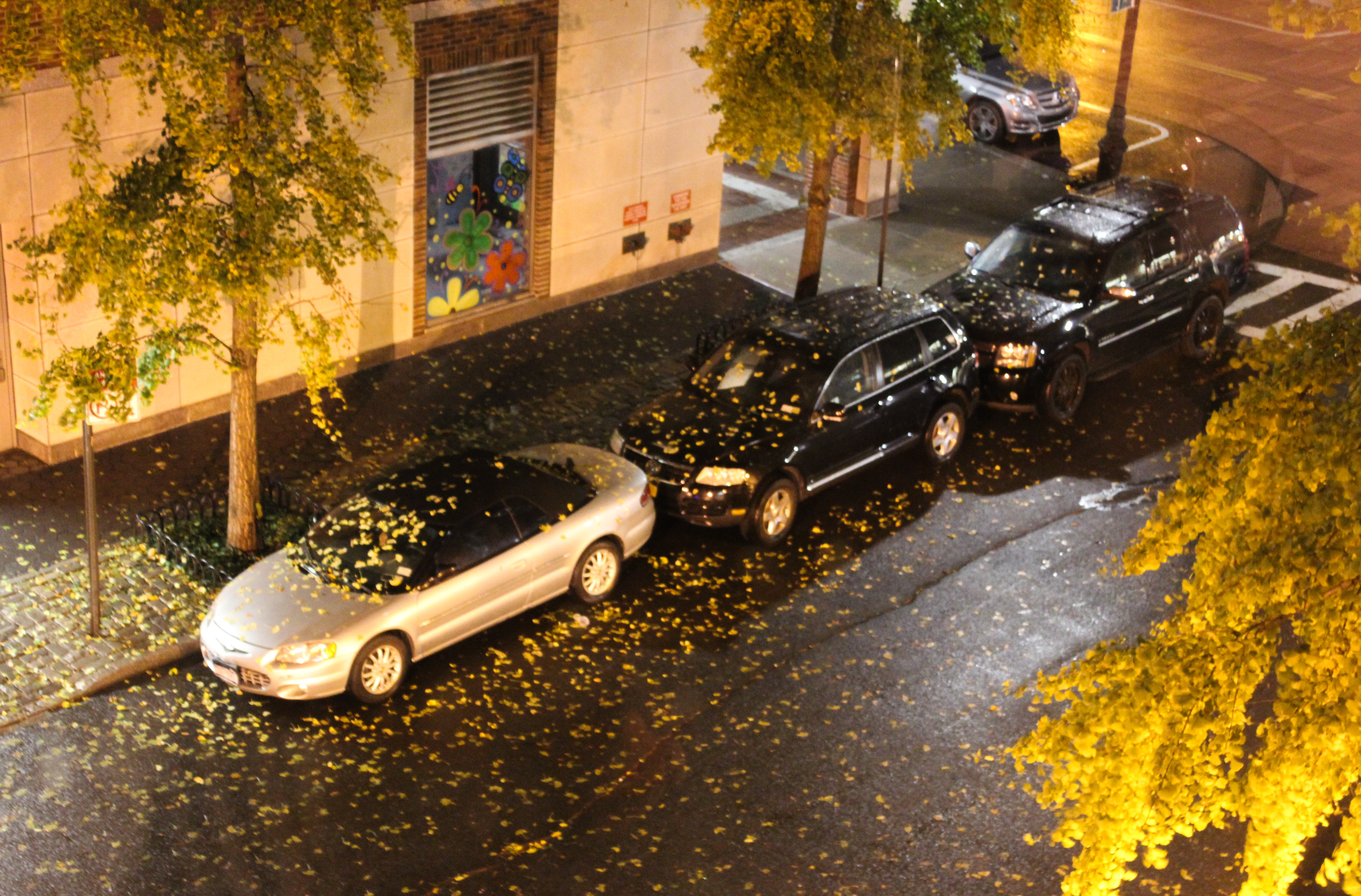 leaves_falling_cars