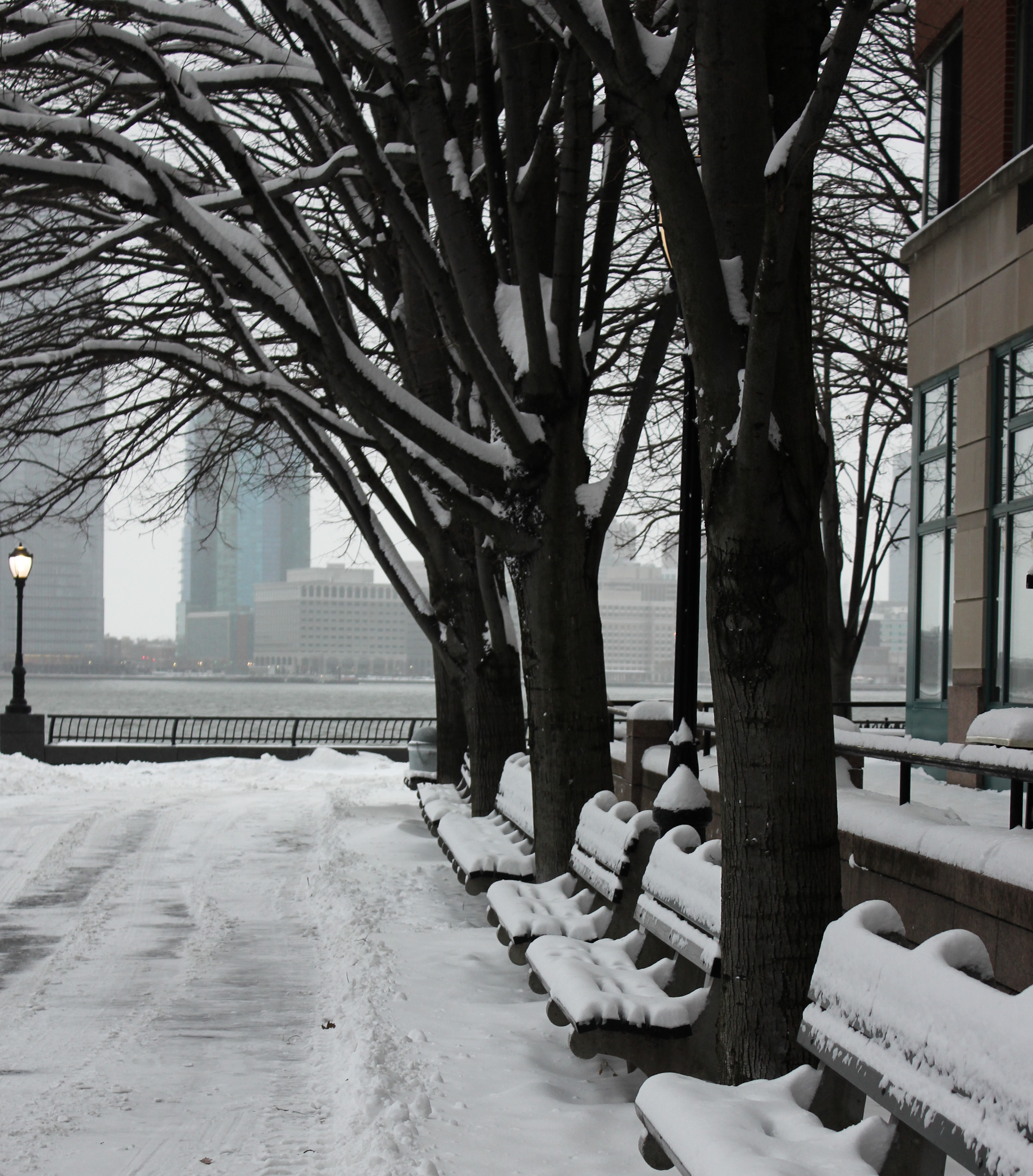 snow-tree-benches