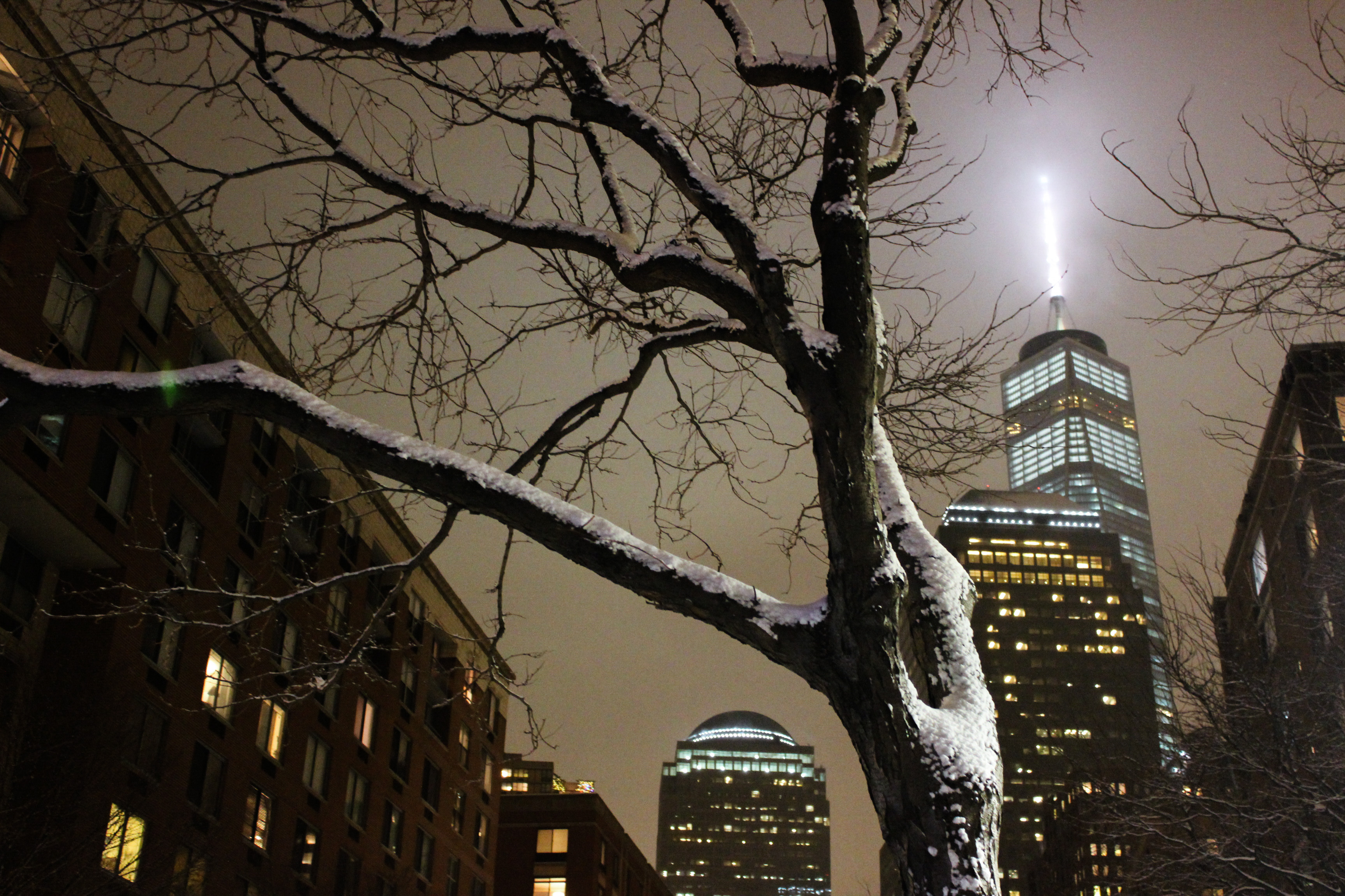 snow-tree-wtc_01