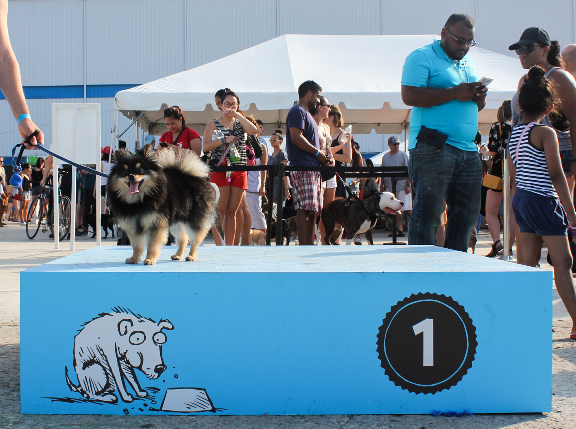 barkfest2015-01