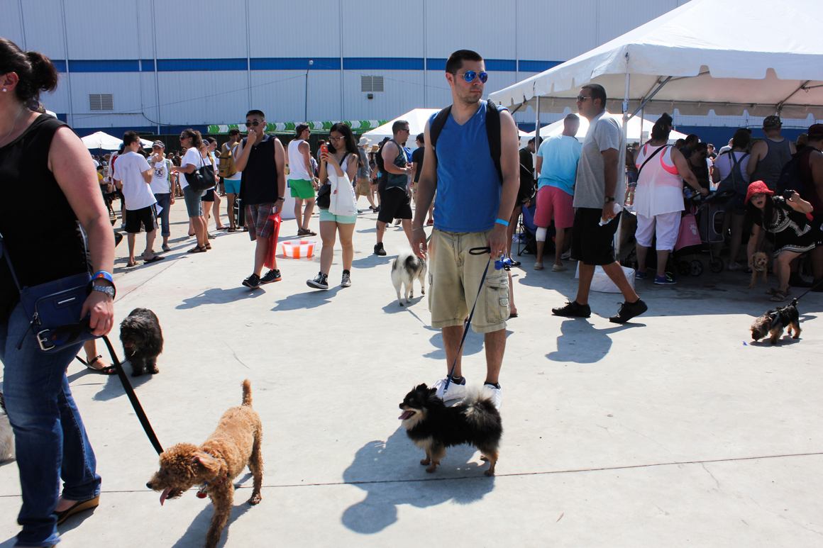 barkfest2015-07
