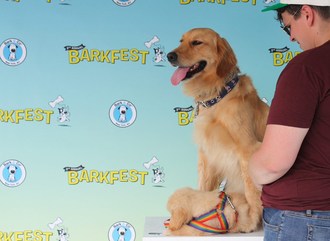 barkfest2015-11