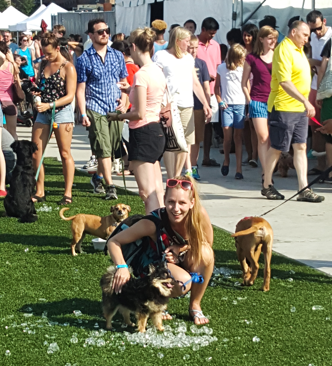 barkfest2015-12