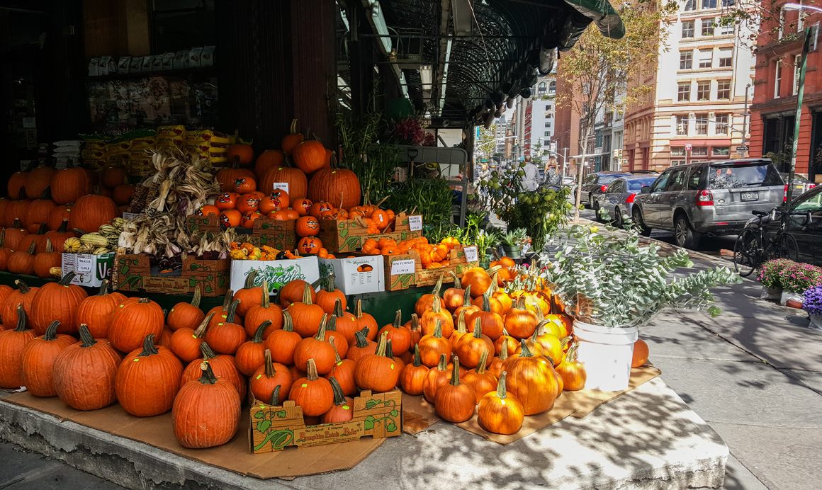 pumpkin-october-2015
