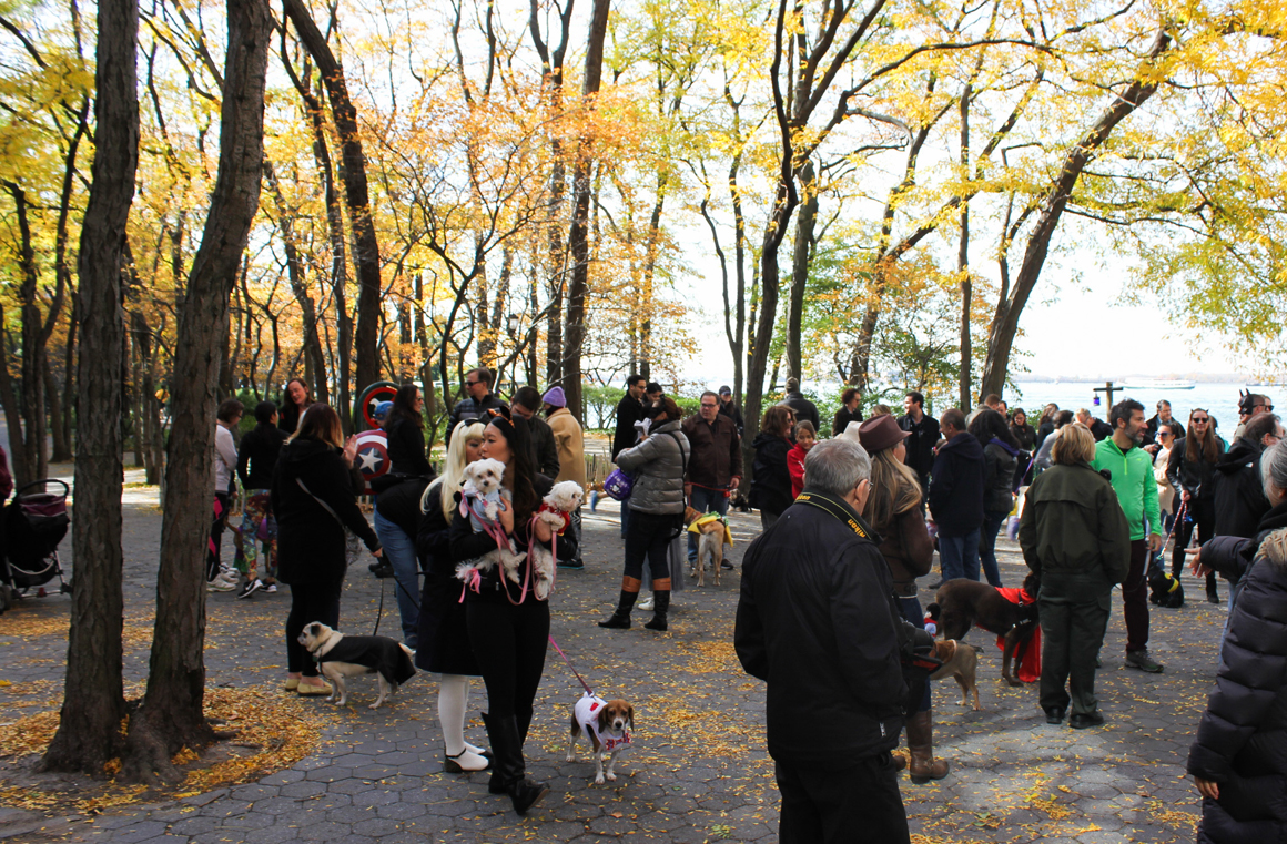 bpc-halloween-dogparade-01