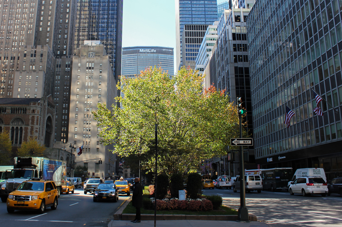 park-avenue_thisisfanny