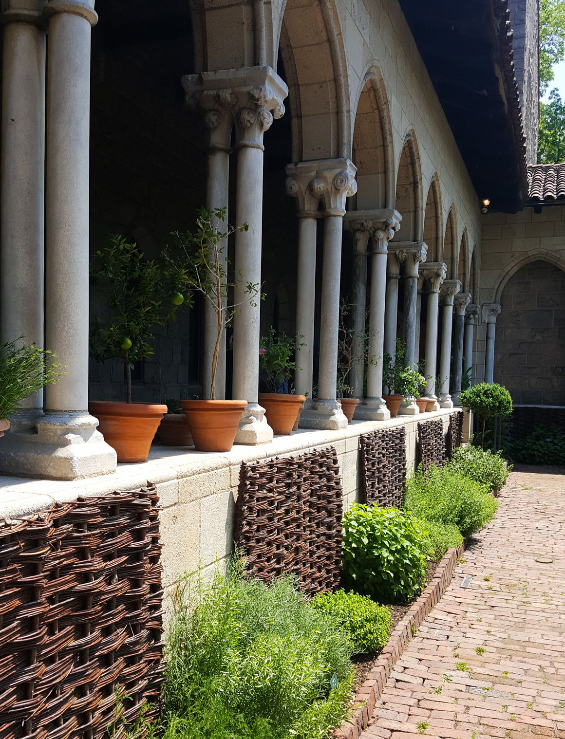 thecloister-metmuseum-02