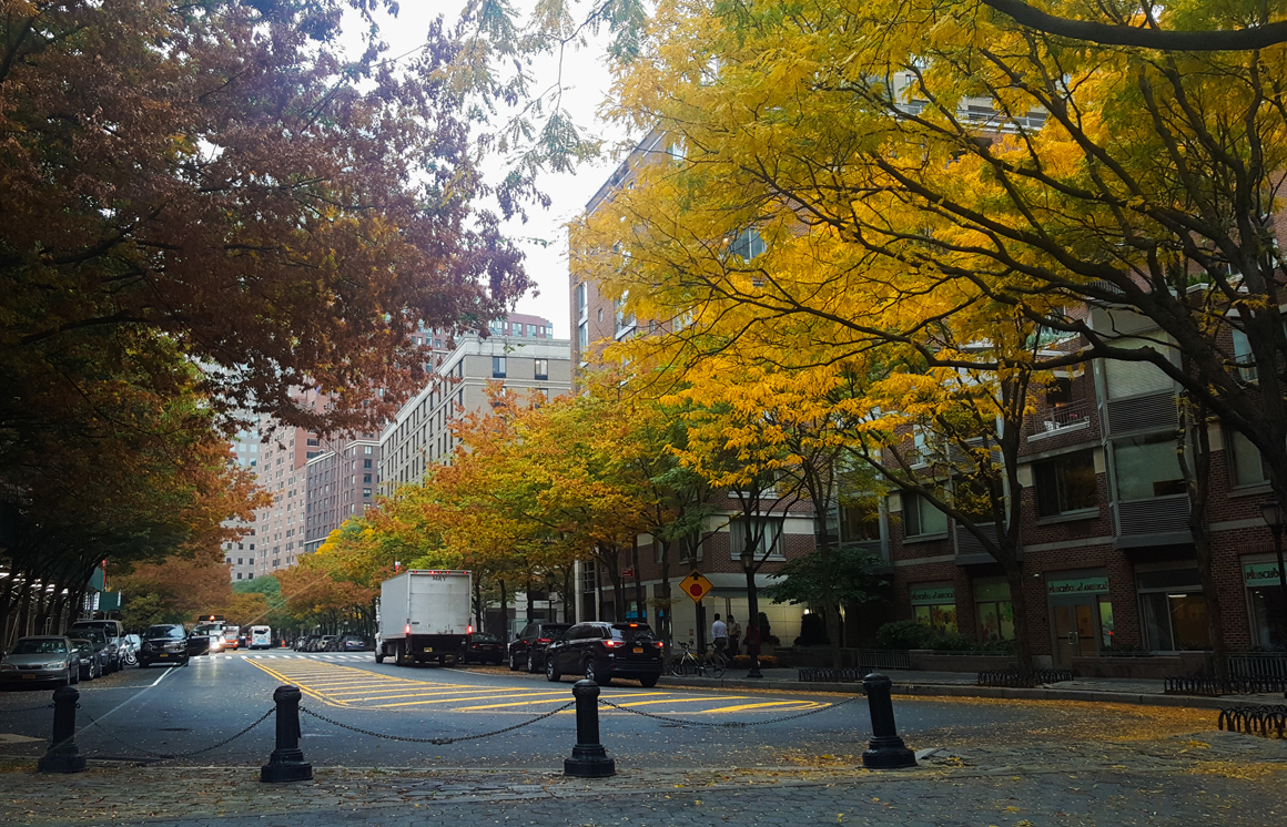 fall-batterypark-oct2016