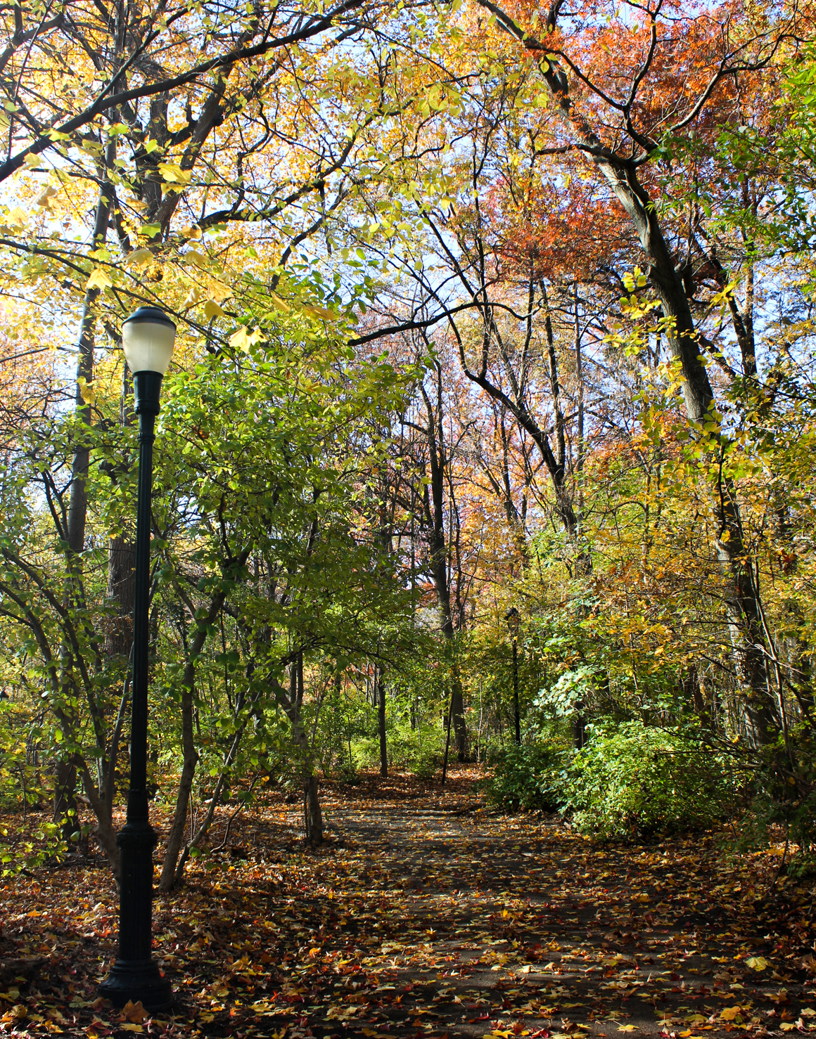 prospectpark-brooklyn-nov2016_02