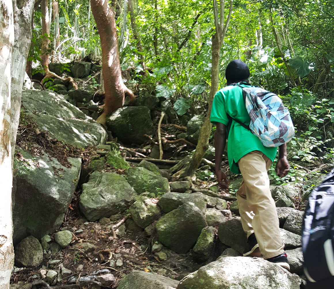 piton-hike-stlucia-2016_06