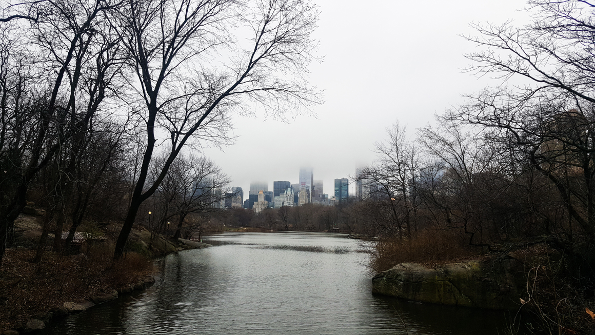 central-park-feb28-2017_01