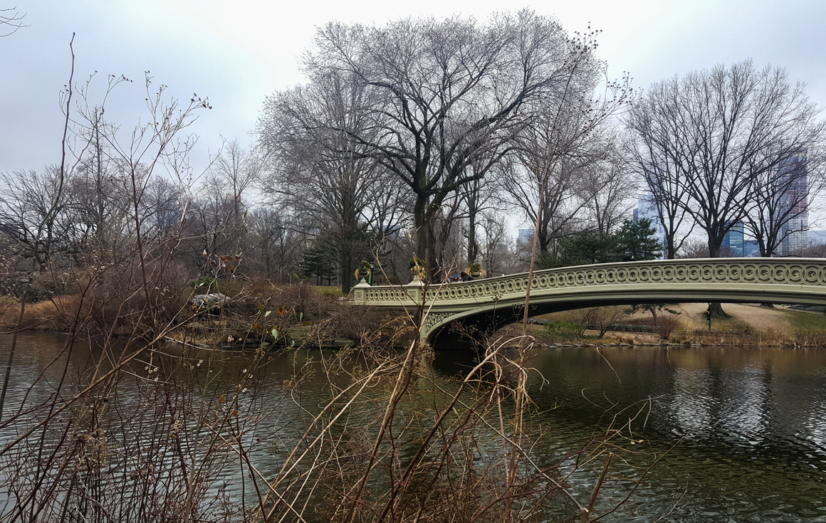 central-park-feb28-2017_02