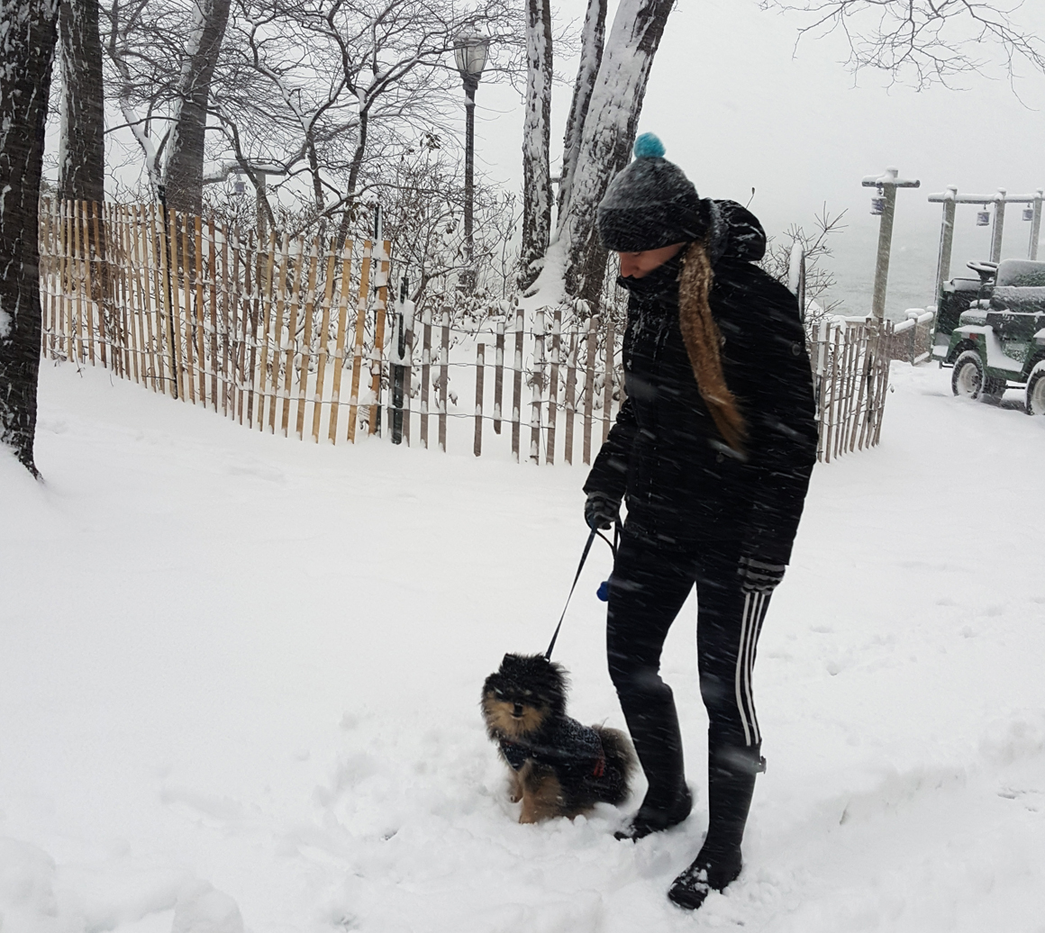 snowstorm-niko-feb2017_01