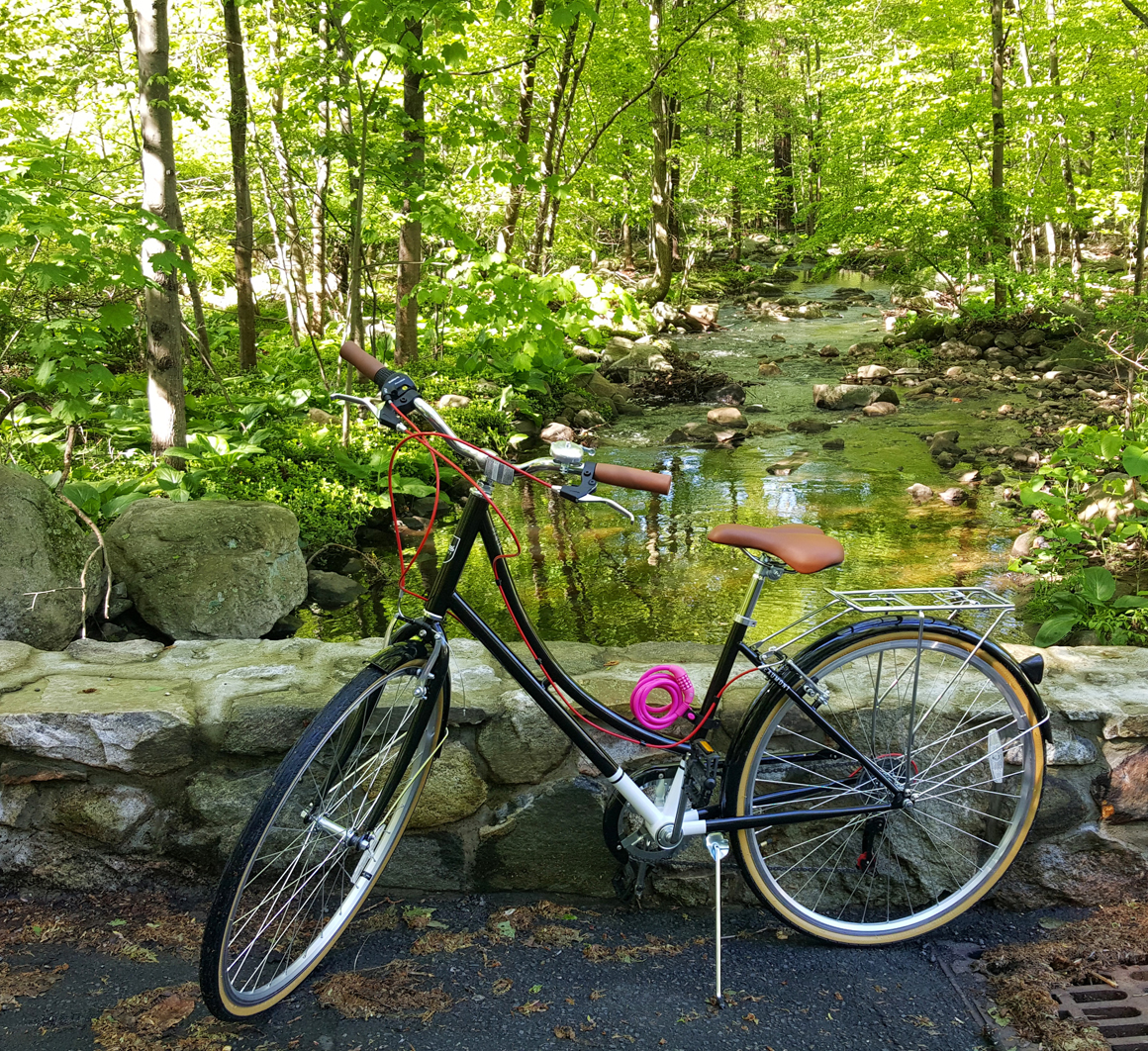 bikeride-may14-2017